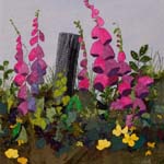 Foxgloves