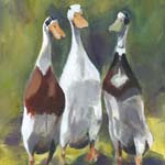 Runner Ducks